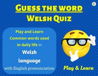Welsh Guess the Words