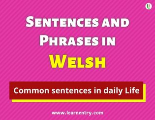 Welsh Sentences and Phrases
