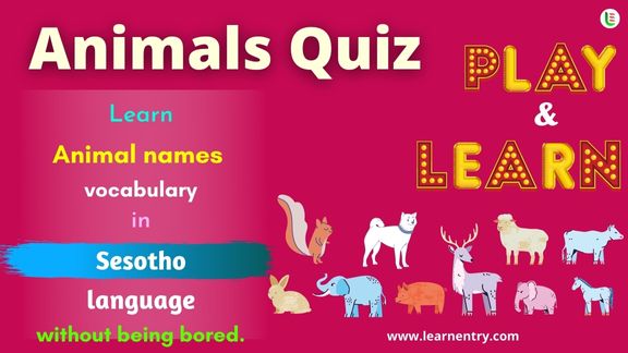 Animals quiz in Sesotho
