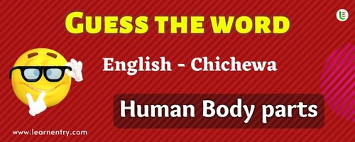 Guess the Human Body parts in Chichewa