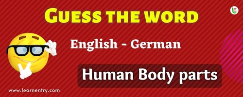 Guess the Human Body parts in German