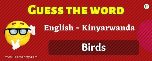 Guess the Birds in Kinyarwanda