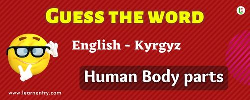 Guess the Human Body parts in Kyrgyz