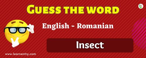 Guess the Insect in Romanian