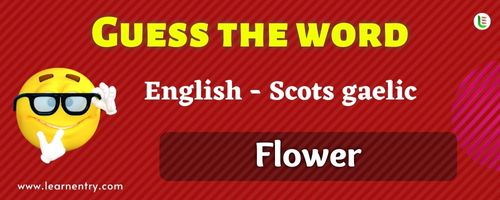 Guess the Flower in Scots gaelic