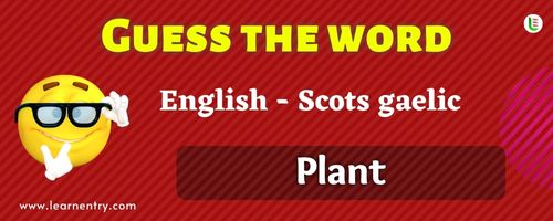 Guess the Plant in Scots gaelic