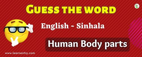 Guess the Human Body parts in Sinhala