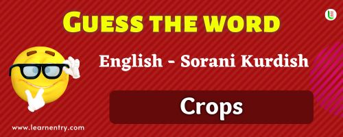 Guess the Crops in Sorani kurdish