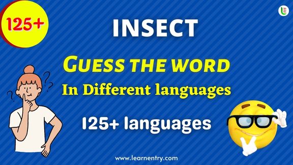 Guess the Insect words in different Languages