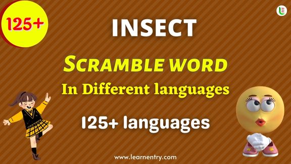 Insect word scramble in different Languages