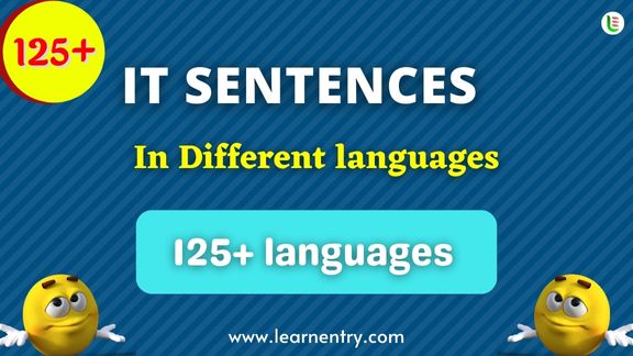 It Sentence quiz in different Languages