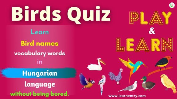 Birds quiz in Hungarian