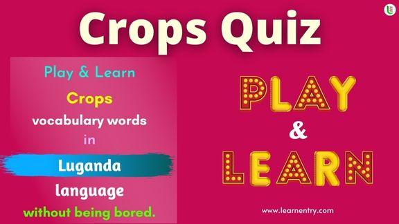 Crops quiz in Luganda