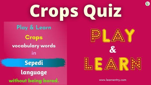 Crops quiz in Sepedi