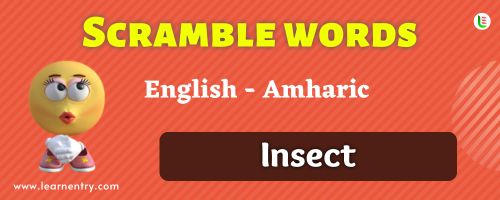 Guess the Insect in Amharic