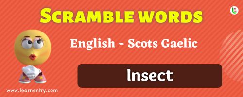 Guess the Insect in Scots gaelic