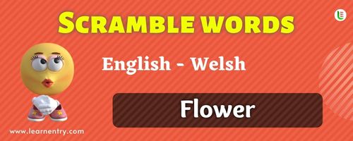 Guess the Flower in Welsh