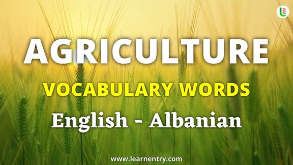 Agriculture vocabulary words in Albanian and English