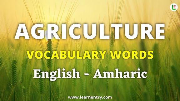 Agriculture vocabulary words in Amharic and English