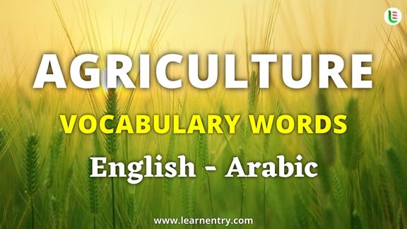 Agriculture vocabulary words in Arabic and English