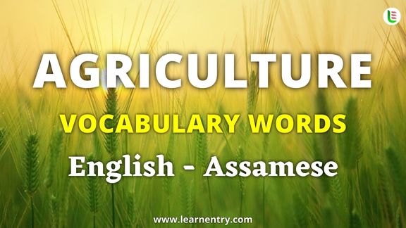 Agriculture vocabulary words in Assamese and English