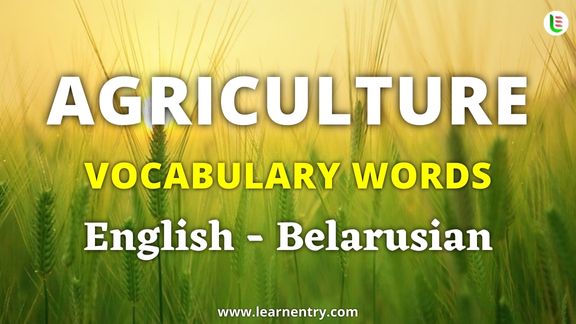 Agriculture vocabulary words in Belarusian and English