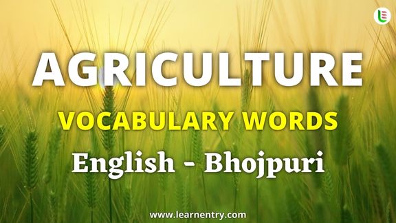 Agriculture vocabulary words in Bhojpuri and English