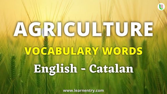 Agriculture vocabulary words in Catalan and English