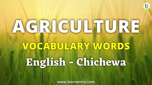 Agriculture vocabulary words in Chichewa and English