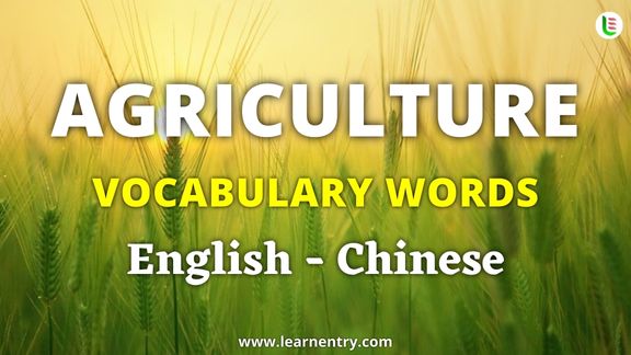 Agriculture vocabulary words in Chinese and English