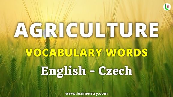 Agriculture vocabulary words in Czech and English