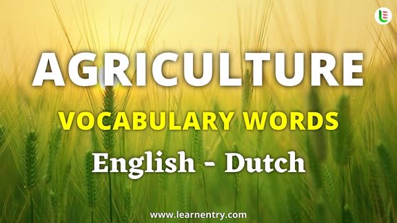 Agriculture vocabulary words in Dutch and English