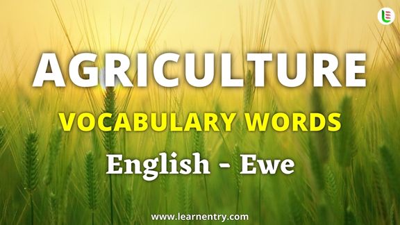 Agriculture vocabulary words in Ewe and English