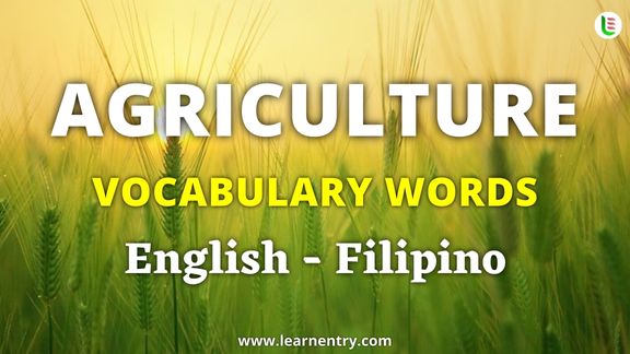 Agriculture vocabulary words in Filipino and English