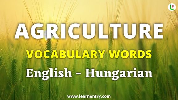 Agriculture vocabulary words in Hungarian and English