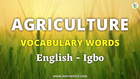 Agriculture vocabulary words in Igbo and English