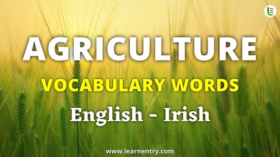 Agriculture vocabulary words in Irish and English