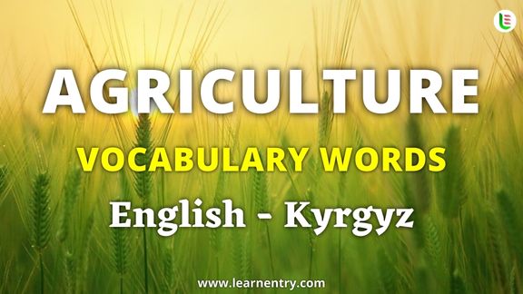 Agriculture vocabulary words in Kyrgyz and English