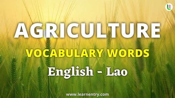 Agriculture vocabulary words in Lao and English