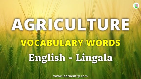 Agriculture vocabulary words in Lingala and English