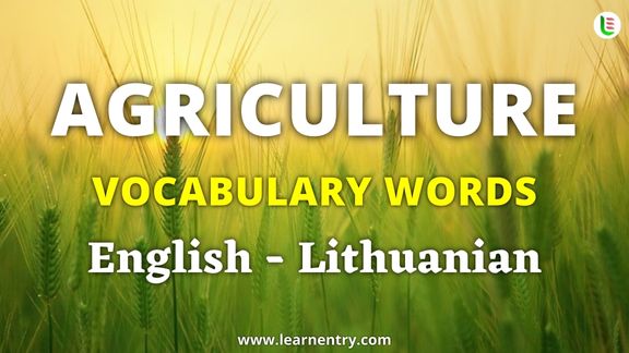 Agriculture vocabulary words in Lithuanian and English