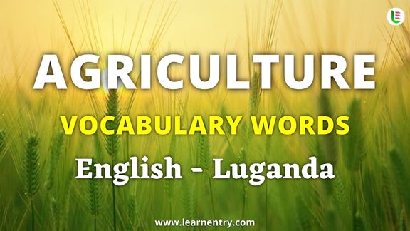 Agriculture vocabulary words in Luganda and English