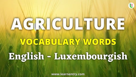 Agriculture vocabulary words in Luxembourgish and English