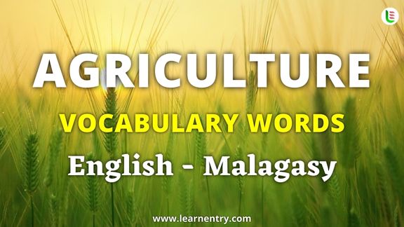 Agriculture vocabulary words in Malagasy and English - Common Malagasy Vocabulary