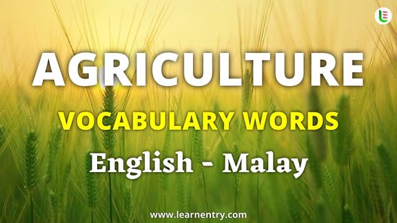 Agriculture vocabulary words in Malay and English