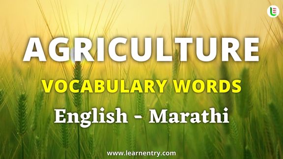 Agriculture vocabulary words in Marathi and English