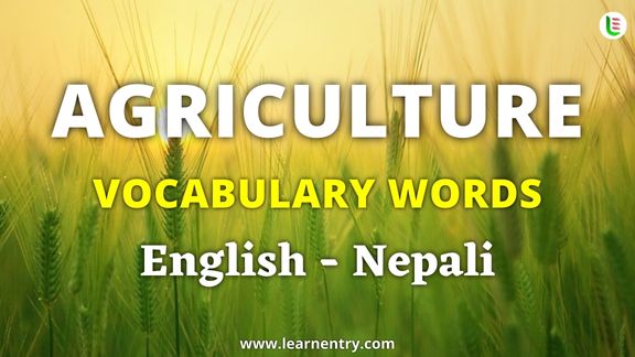 Agriculture vocabulary words in Nepali and English