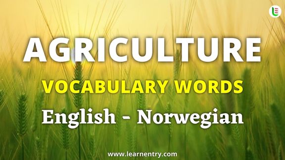 Agriculture vocabulary words in Norwegian and English