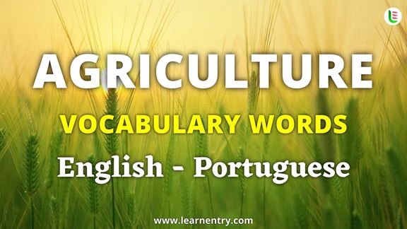 Agriculture vocabulary words in Portuguese and English