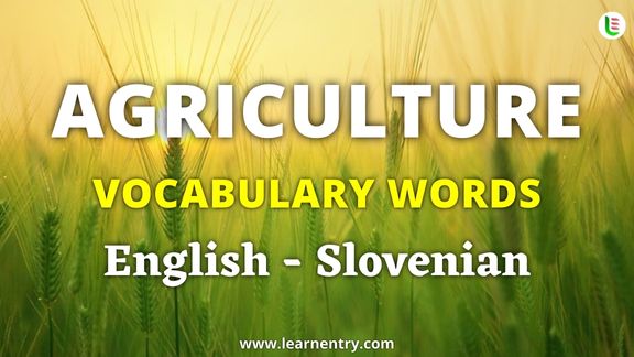 Agriculture vocabulary words in Slovenian and English